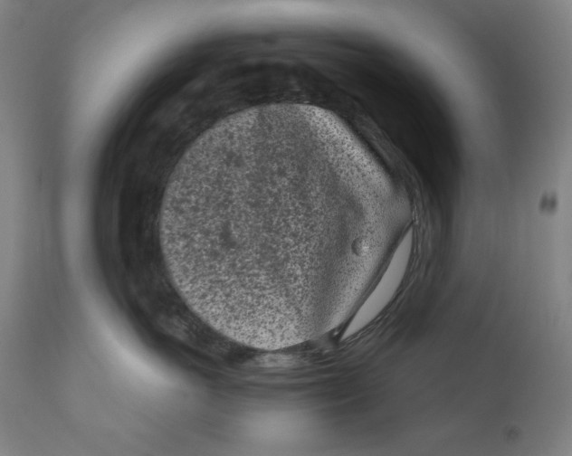 X0000111010766200907101315
