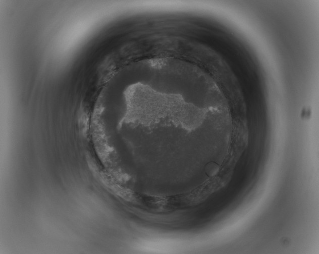 X0000111010767200907101315
