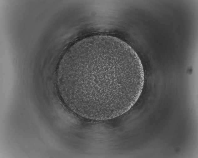X0000111010769200907101314