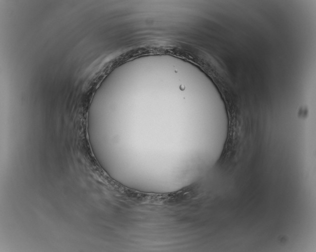 X0000111010773200907101314