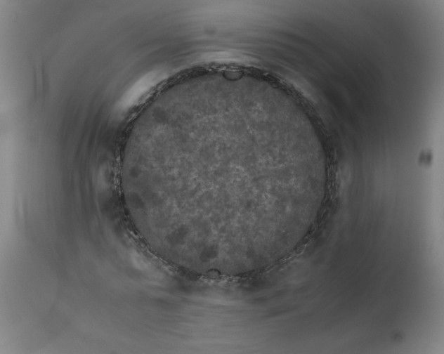 X0000111010775200907101314