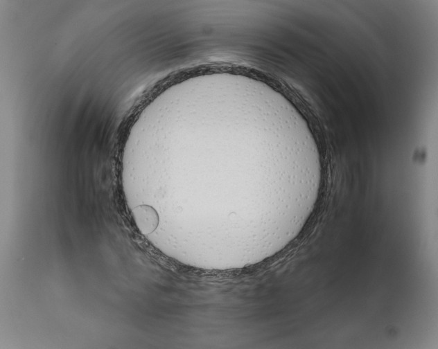 X0000111010776200907101314