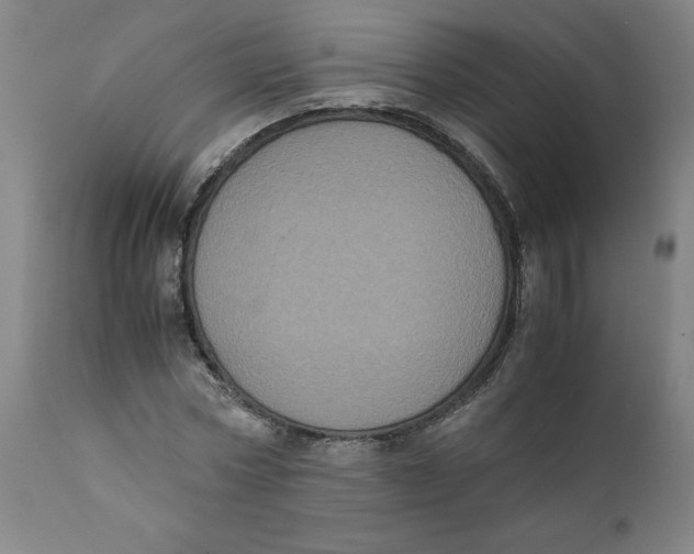 X0000111010778200907101314