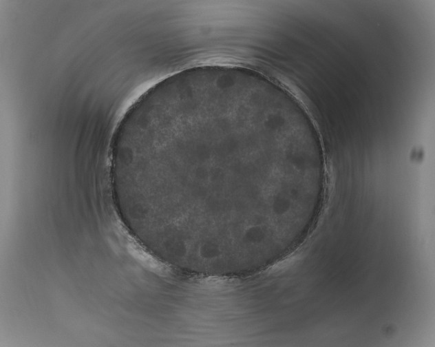 X0000111010779200907101314