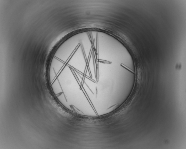 X0000111010780200907101314