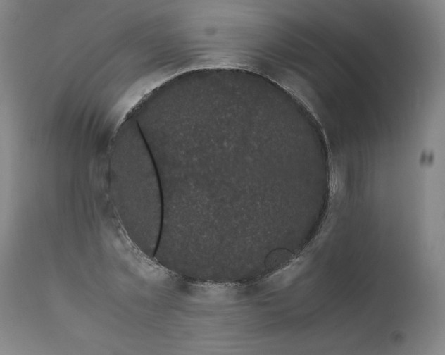 X0000111010781200907101314