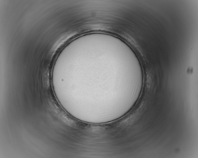 X0000111010782200907101314