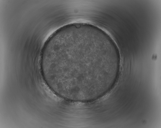 X0000111010783200907101314