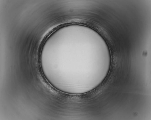 X0000111010784200907101314
