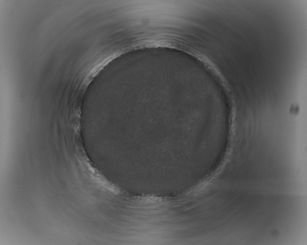 X0000111010785200907101314