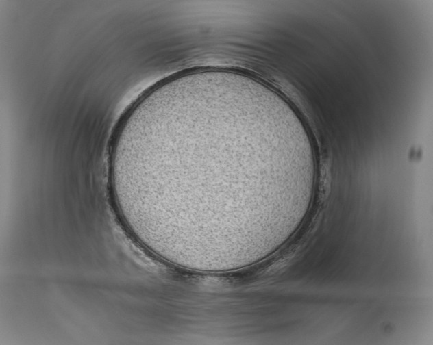 X0000111010787200907101314