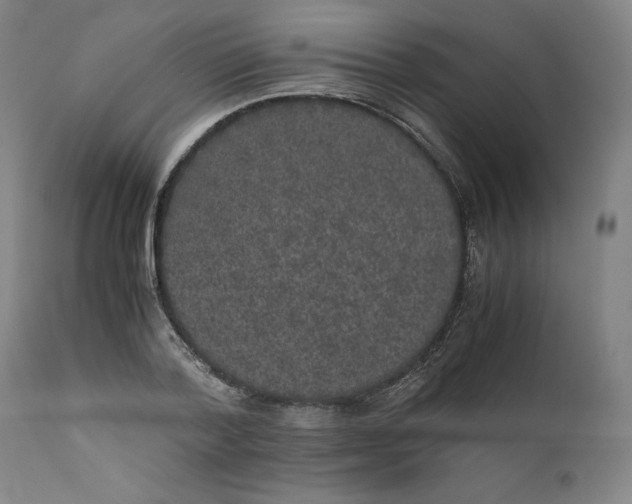 X0000111010788200907101314