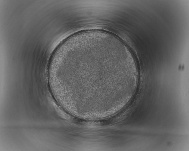 X0000111010789200907101314