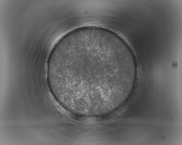 X0000111010791200907101314