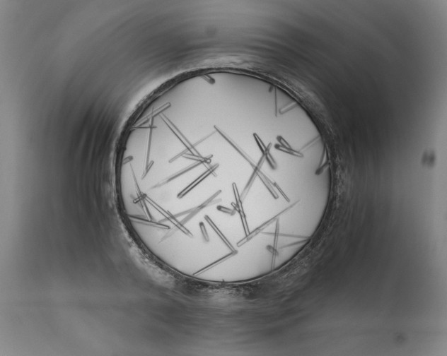 X0000111010792200907101314