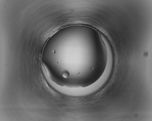 X0000111010793200907101314