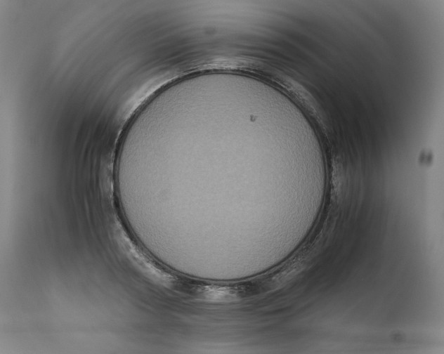 X0000111010794200907101314