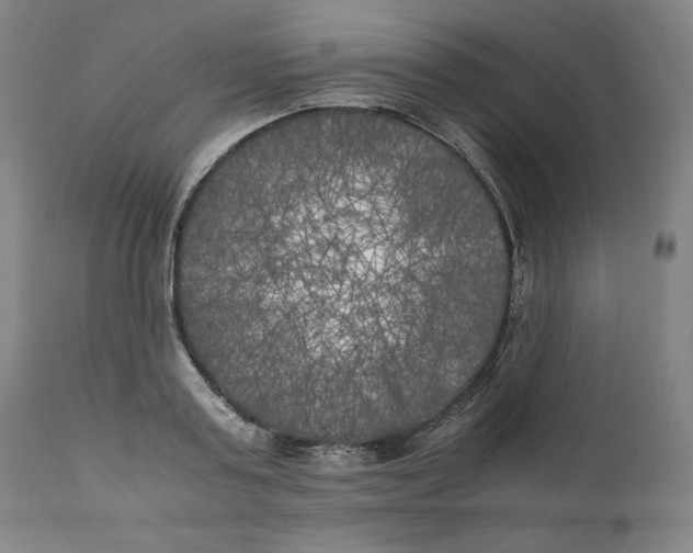 X0000111010795200907101314