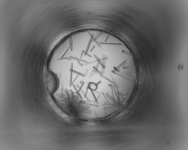 X0000111010796200907101314