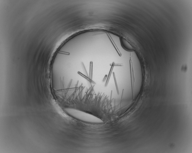 X0000111010800200907101314