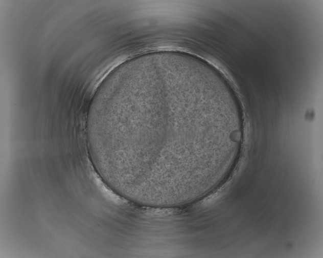 X0000111010801200907101314