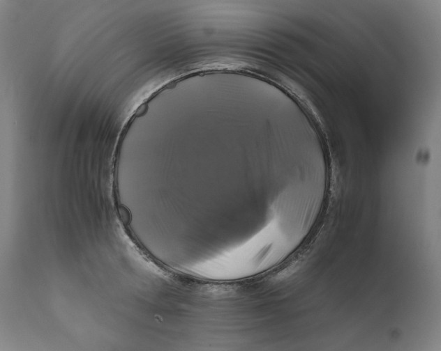 X0000111010802200907101314