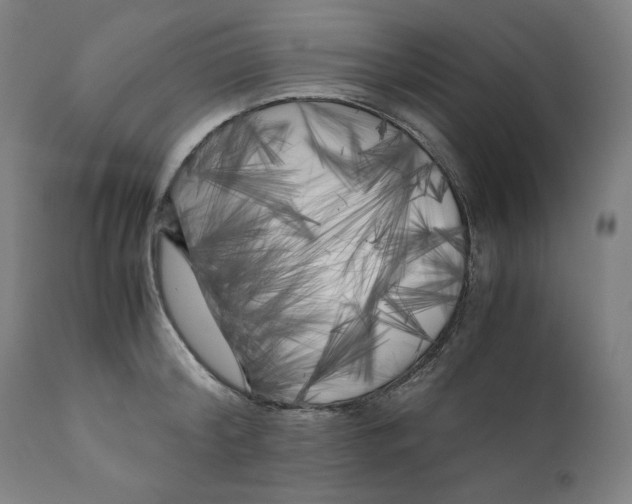 X0000111010804200907101314