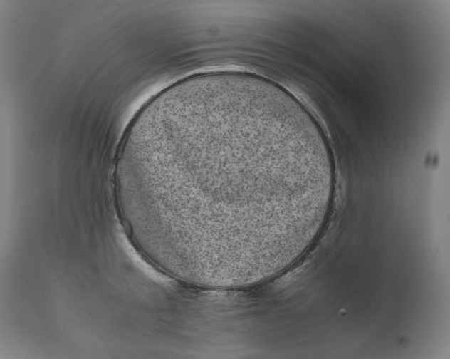 X0000111010805200907101314