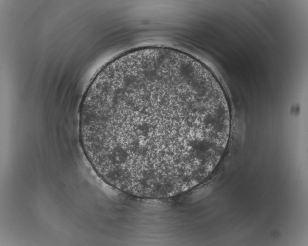 X0000111010807200907101314