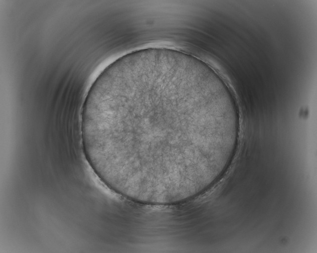 X0000111010808200907101314