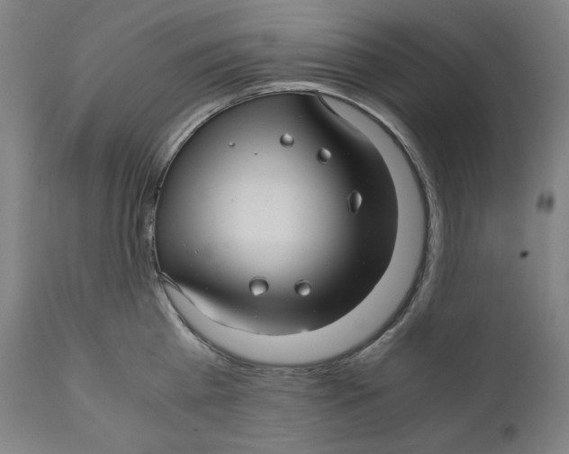 X0000111010809200907101314