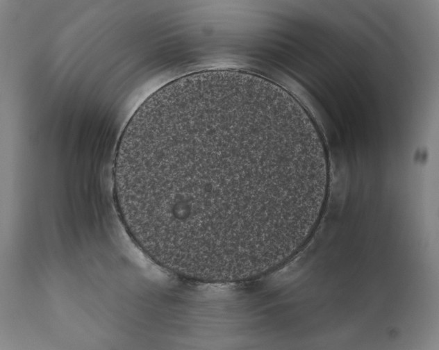 X0000111010810200907101314