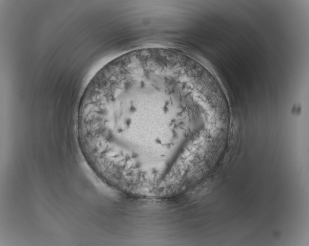 X0000111010811200907101314