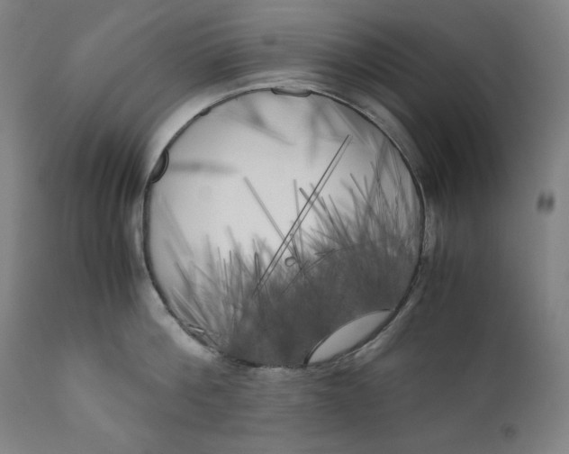X0000111010812200907101314