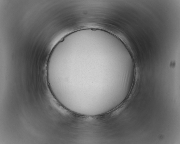 X0000111010814200907101314