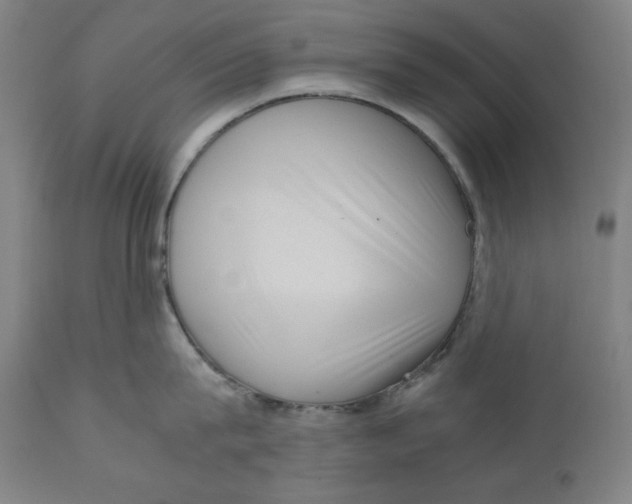 X0000111010815200907101314