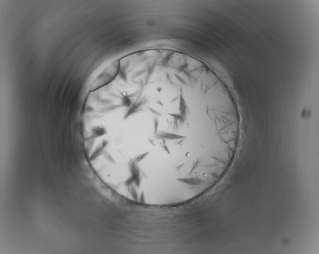 X0000111010816200907101314