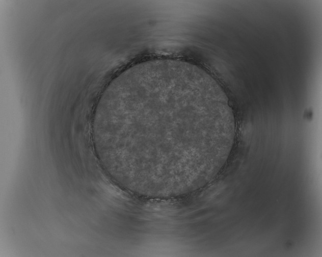 X0000111010817200907101313