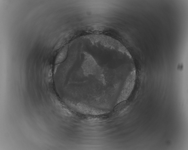 X0000111010818200907101313