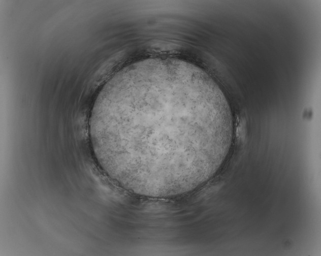 X0000111010819200907101313