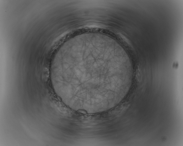 X0000111010821200907101313