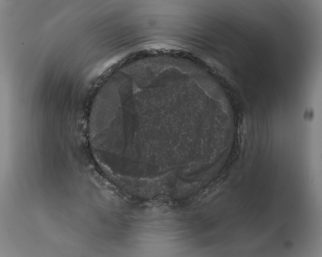 X0000111010822200907101313
