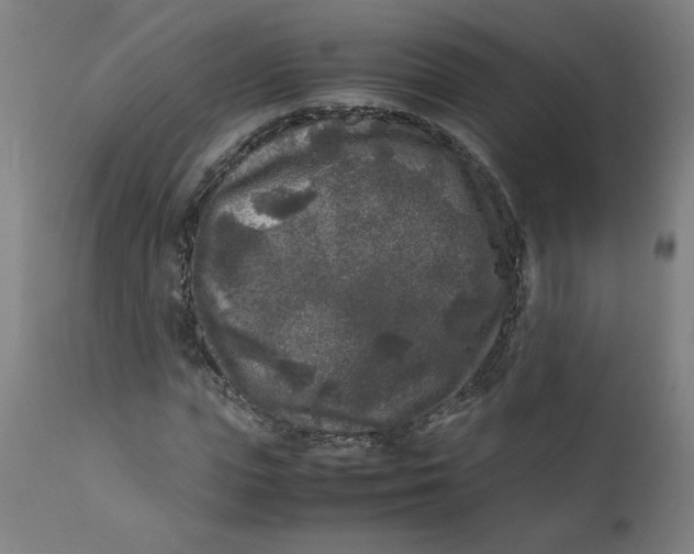 X0000111010823200907101313