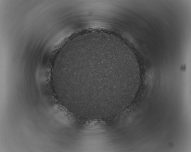 X0000111010824200907101313