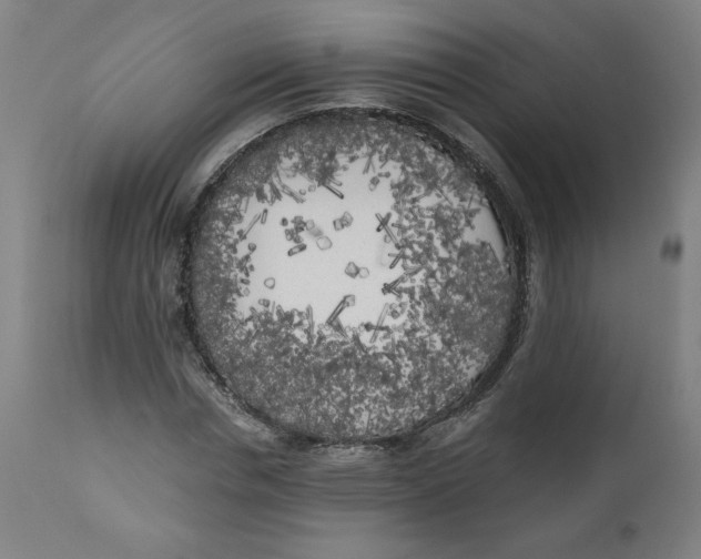X0000111010826200907101313