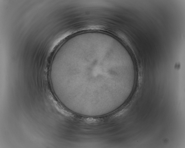 X0000111010827200907101313