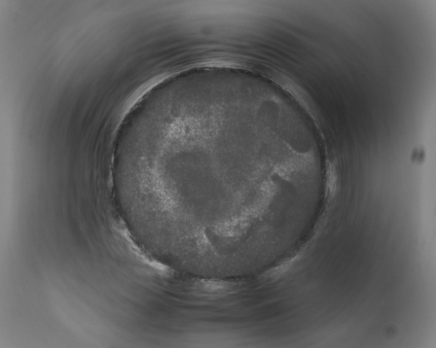 X0000111010829200907101313