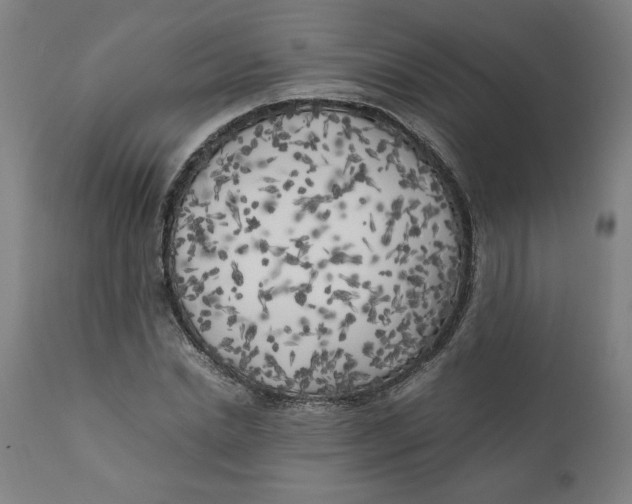 X0000111010830200907101313