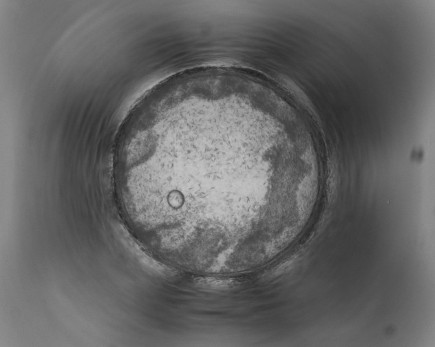 X0000111010831200907101313