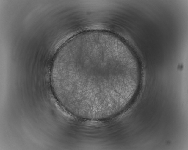 X0000111010833200907101313